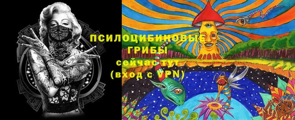 стафф Алексин