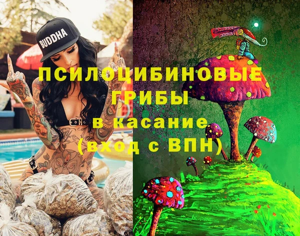стафф Алексин