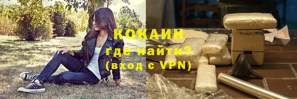 стафф Алексин
