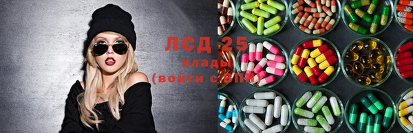 стафф Алексин