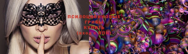 стафф Алексин