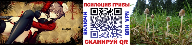 наркошоп  Санкт-Петербург  Галлюциногенные грибы MAGIC MUSHROOMS 